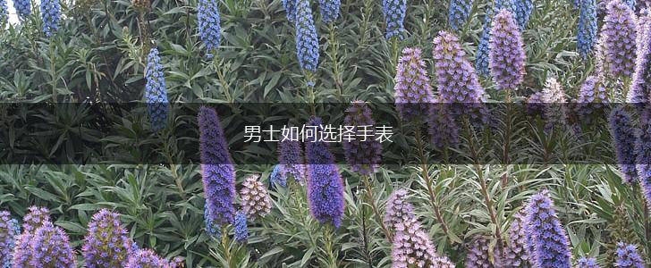 男士如何选择手表,第1张