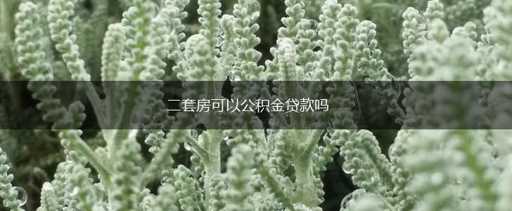 二套房可以公积金贷款吗,第1张