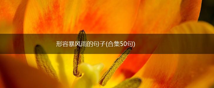 形容暴风雨的句子(合集50句),第1张