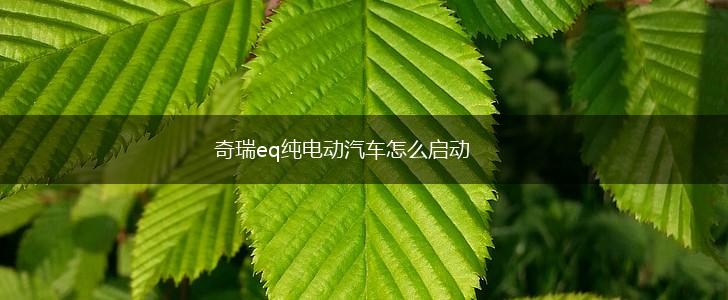 奇瑞eq纯电动汽车怎么启动,第1张