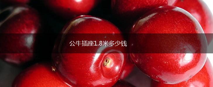 公牛插座1.8米多少钱,第1张