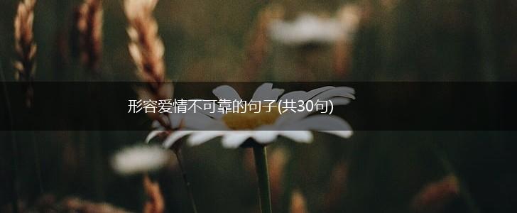 形容爱情不可靠的句子(共30句),第1张