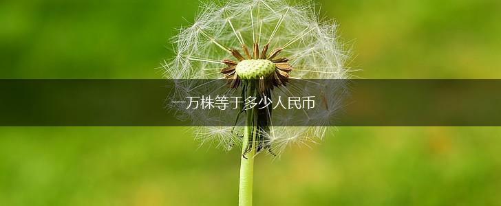 一万株等于多少人民币,第1张