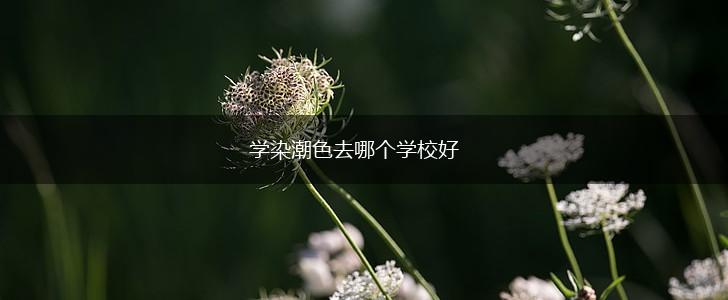 学染潮色去哪个学校好,第1张