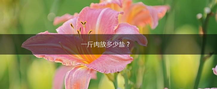 一斤肉放多少盐？,第1张