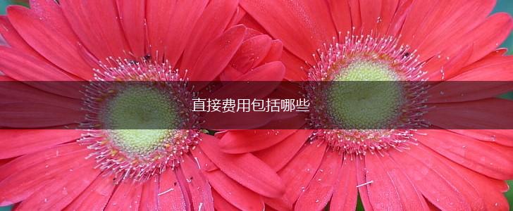 直接费用包括哪些,第1张