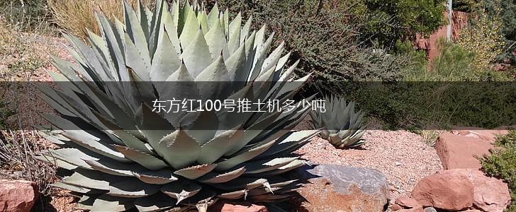 东方红100号推土机多少吨,第1张