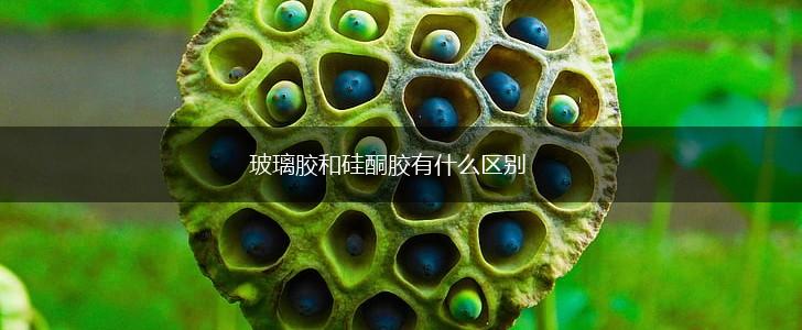 玻璃胶和硅酮胶有什么区别,第1张