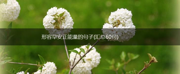 形容早安正能量的句子(汇总60句),第1张