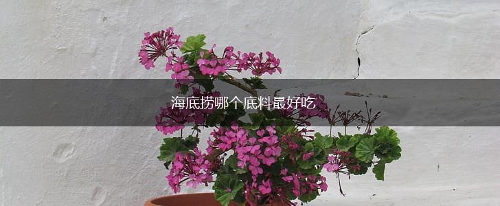 海底捞哪个底料最好吃,第1张