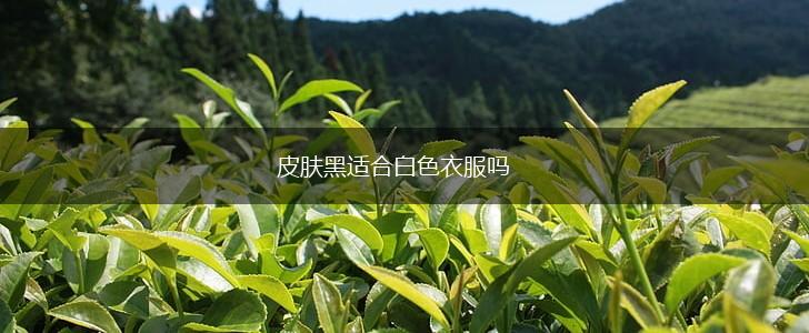 皮肤黑适合白色衣服吗,第1张