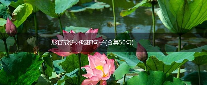 形容煎饼好吃的句子(合集50句),第1张