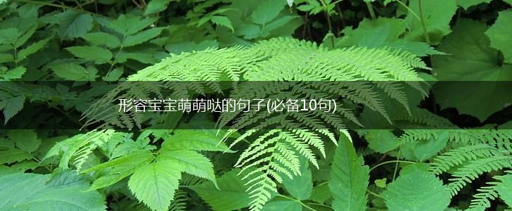 形容宝宝萌萌哒的句子(必备10句),第1张