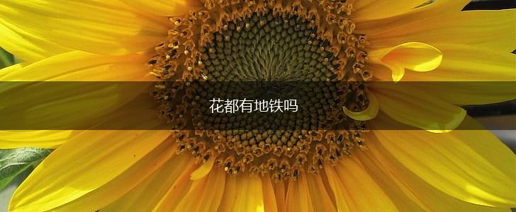 花都有地铁吗,第1张