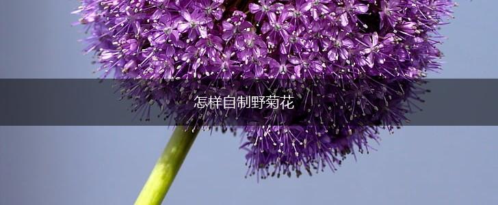 怎样自制野菊花,第1张