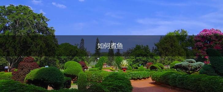 如何煮鱼,第1张