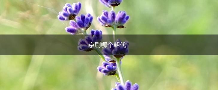 京剧哪个朝代,第1张