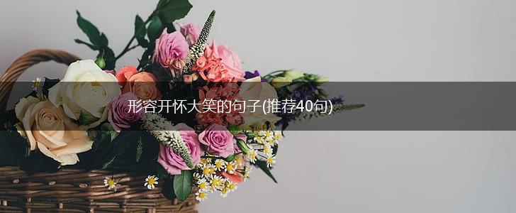 形容开怀大笑的句子(推荐40句),第1张