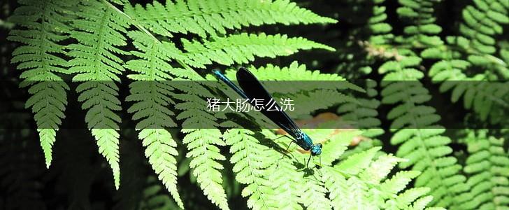 猪大肠怎么洗,第1张