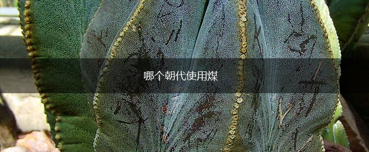 哪个朝代使用煤,第1张