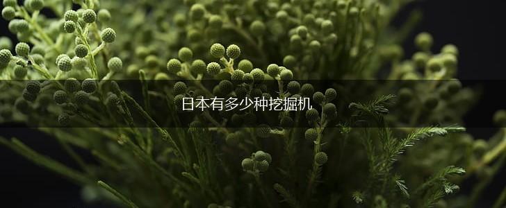 日本有多少种挖掘机,第1张