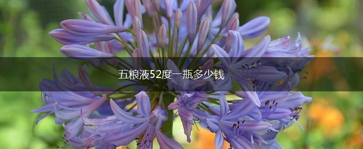五粮液52度一瓶多少钱,第1张