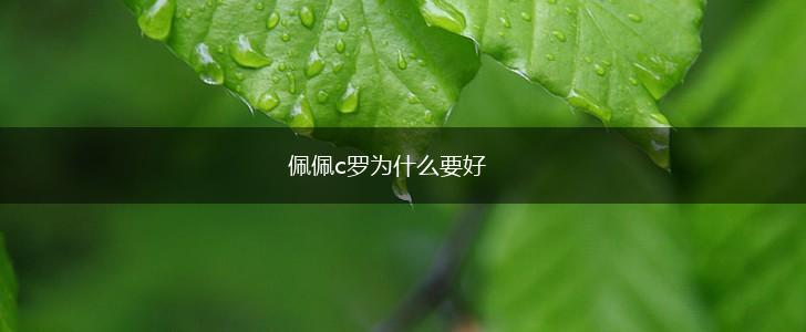 佩佩c罗为什么要好,第1张