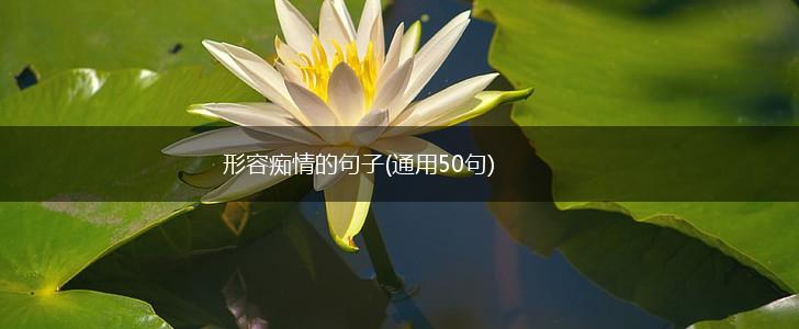 形容痴情的句子(通用50句),第1张