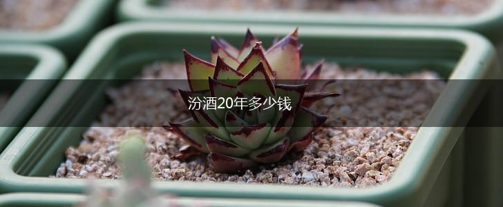 汾酒20年多少钱,第1张