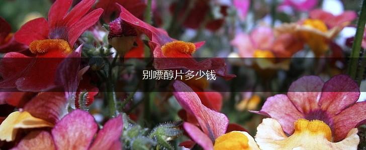 别嘌醇片多少钱,第1张