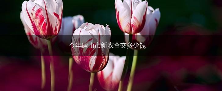 今年唐山市新农合交多少钱,第1张