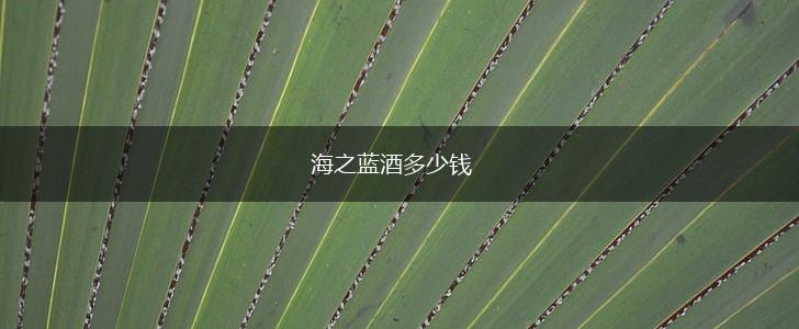 海之蓝酒多少钱,第1张