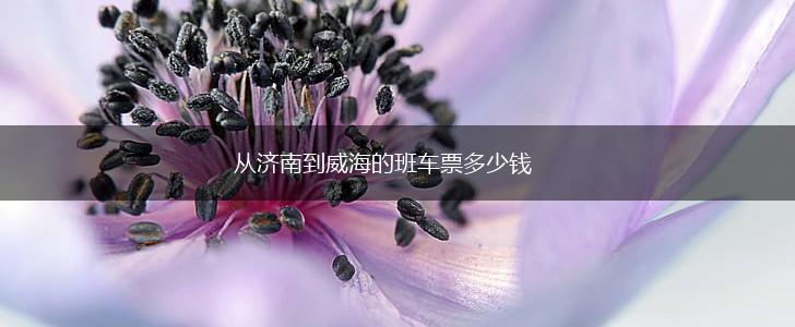 从济南到威海的班车票多少钱,第1张