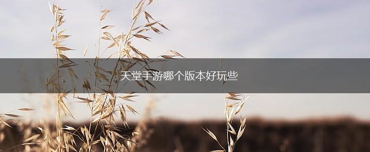 天堂手游哪个版本好玩些,第1张