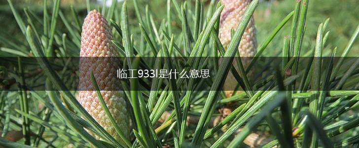 临工933l是什么意思,第1张