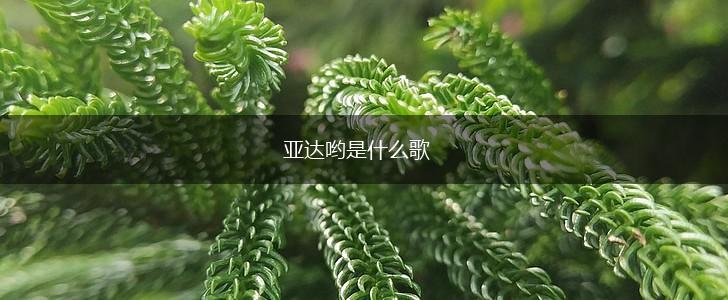 亚达哟是什么歌,第1张