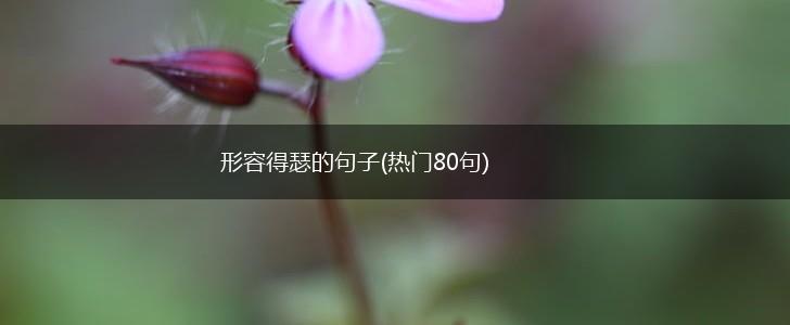 形容得瑟的句子(热门80句),第1张