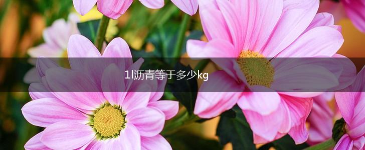 1l沥青等于多少kg,第1张