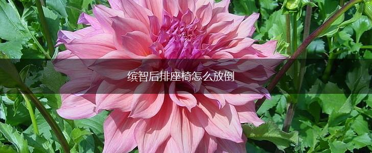 缤智后排座椅怎么放倒,第1张