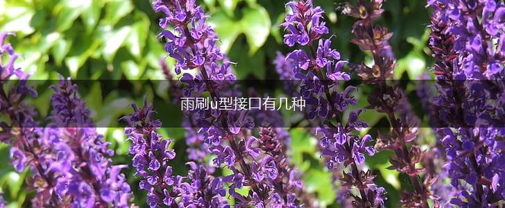 雨刷u型接口有几种,第1张