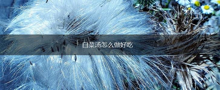 白菜汤怎么做好吃,第1张