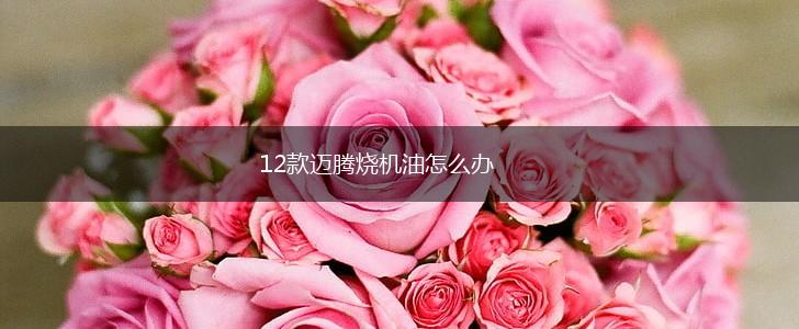12款迈腾烧机油怎么办,第1张