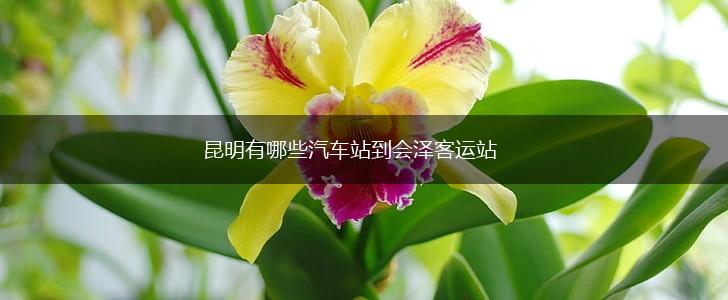 昆明有哪些汽车站到会泽客运站,第1张