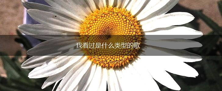 我看过是什么类型的歌,第1张