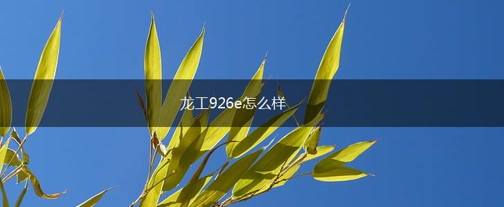 龙工926e怎么样,第1张