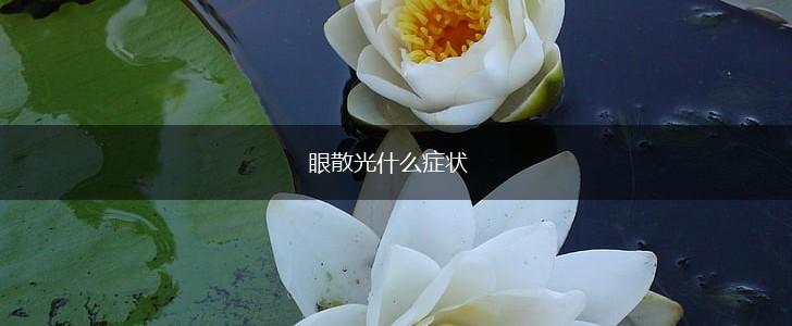 眼散光什么症状,第1张