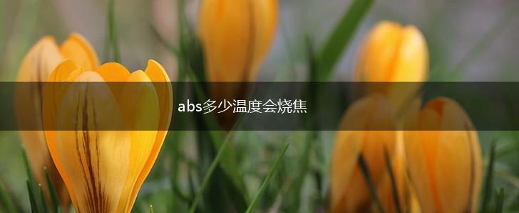 abs多少温度会烧焦,第1张