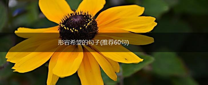 形容希望的句子(推荐60句),第1张