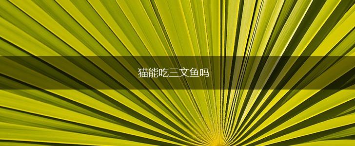 猫能吃三文鱼吗,第1张