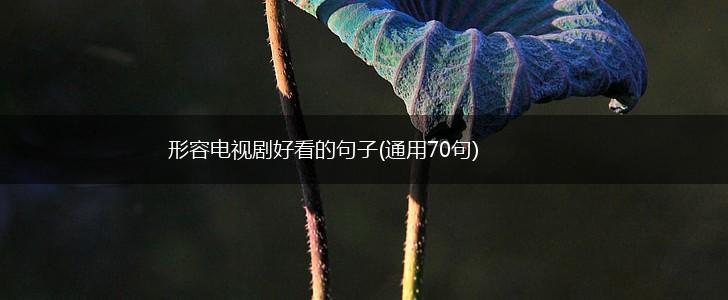 形容电视剧好看的句子(通用70句),第1张